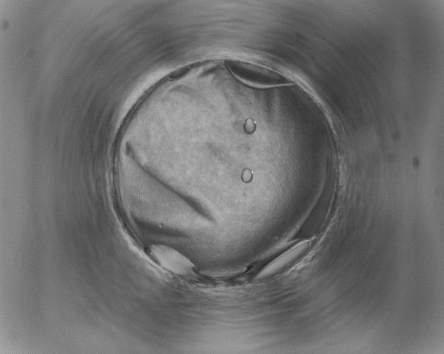 X0000053081048200508012001