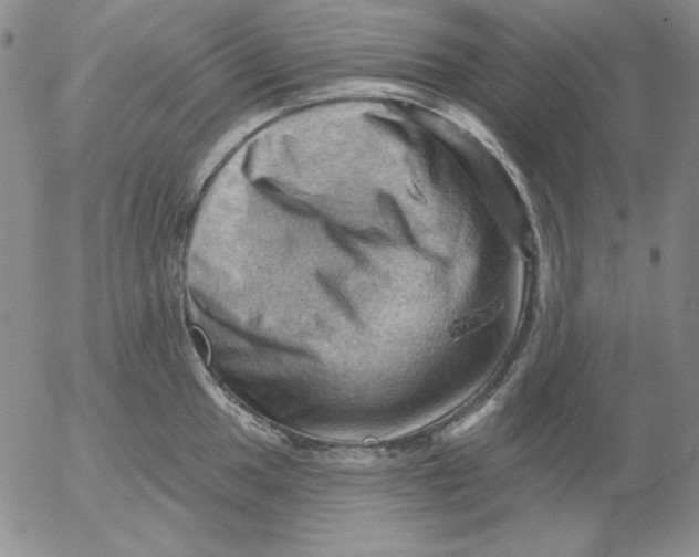 X0000053081049200508012001