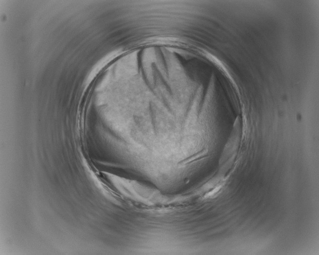 X0000053081050200508012001