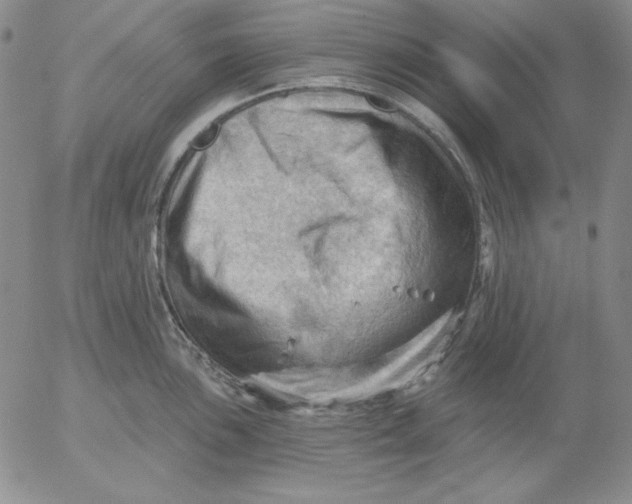 X0000053081051200508012001