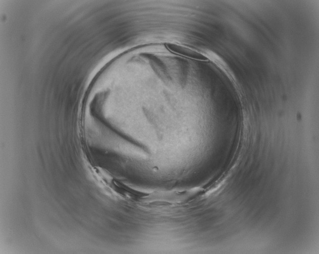 X0000053081052200508012001