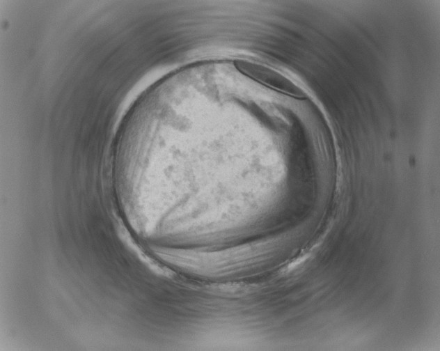 X0000053081053200508012001