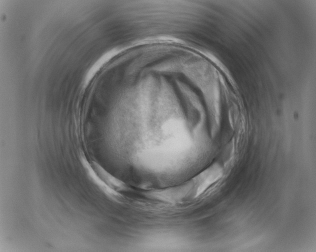 X0000053081054200508012001