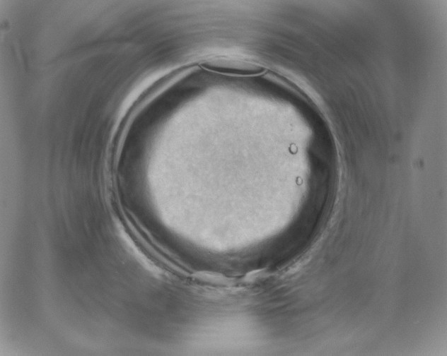 X0000053081056200508012001