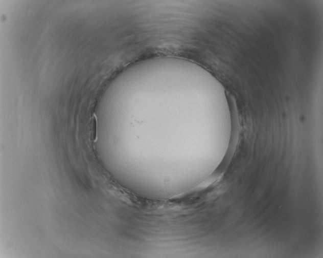 X0000053081057200508012000