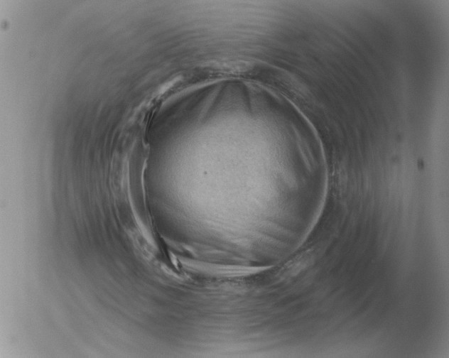 X0000053081058200508012000