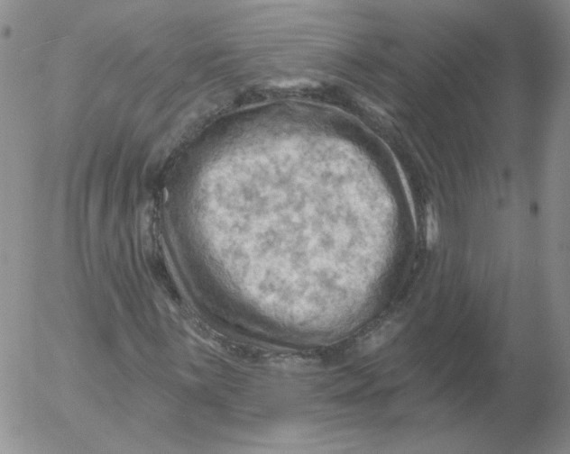 X0000053081059200508012000