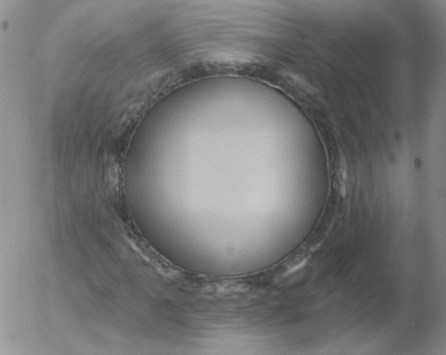 X0000053081061200508012000