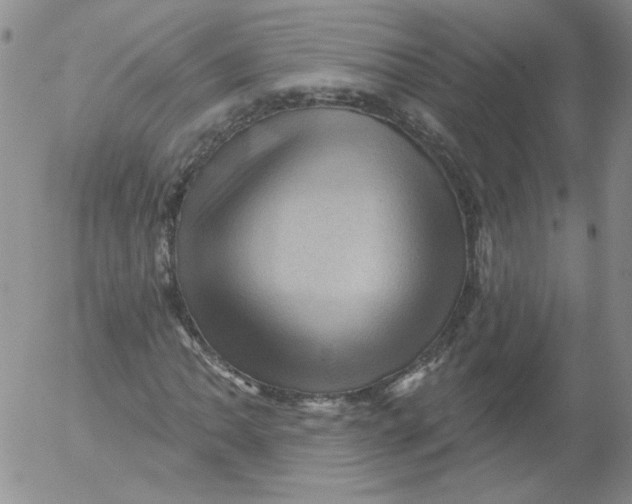 X0000053081062200508012000