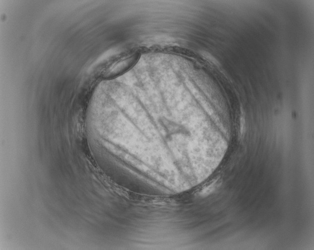 X0000053081063200508012000