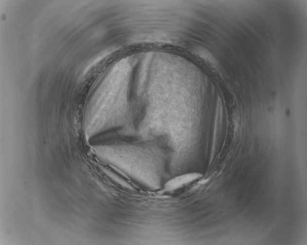 X0000053081064200508012000