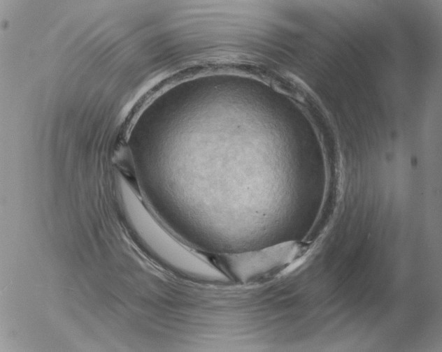 X0000053081065200508012000