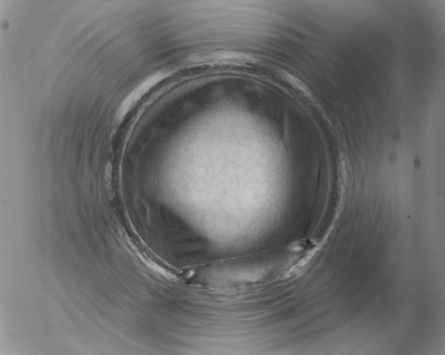 X0000053081066200508012000