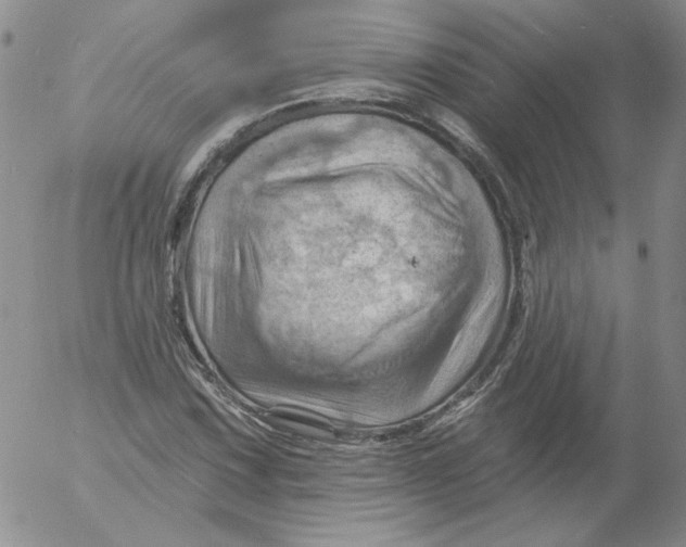 X0000053081067200508012000