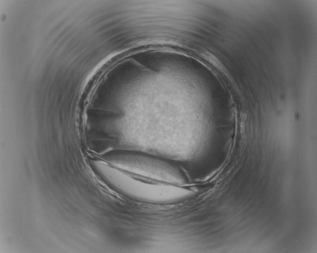 X0000053081068200508012000