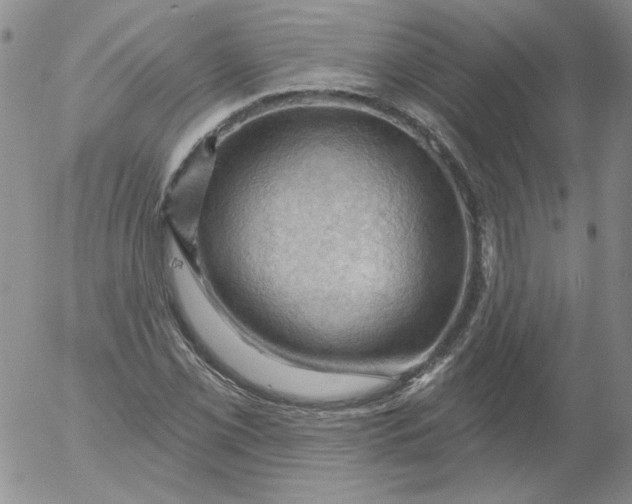 X0000053081069200508012000