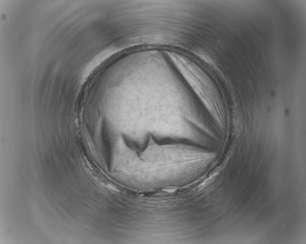 X0000053081070200508012000