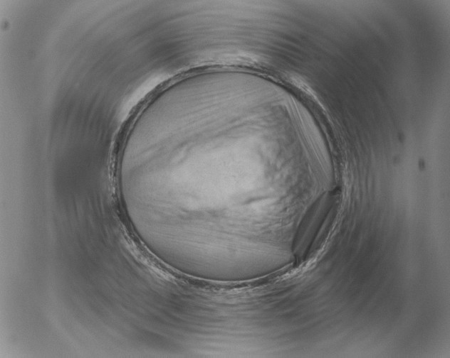 X0000053081071200508012000