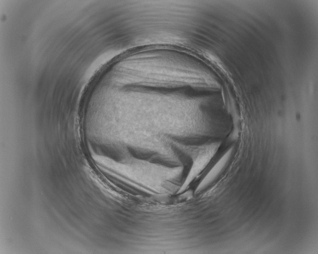 X0000053081072200508012000