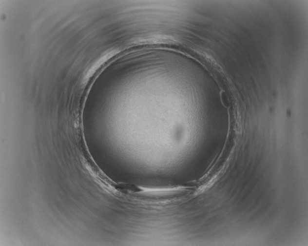 X0000053081073200508012000