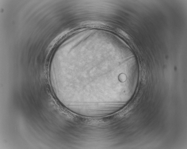 X0000053081074200508012000