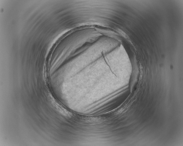 X0000053081076200508012000