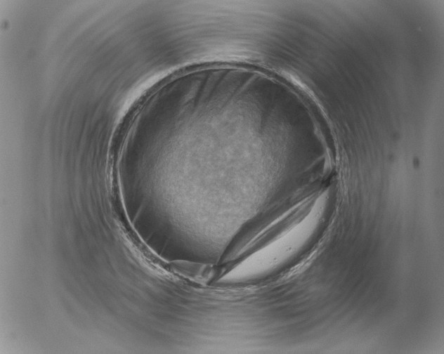 X0000053081077200508012000