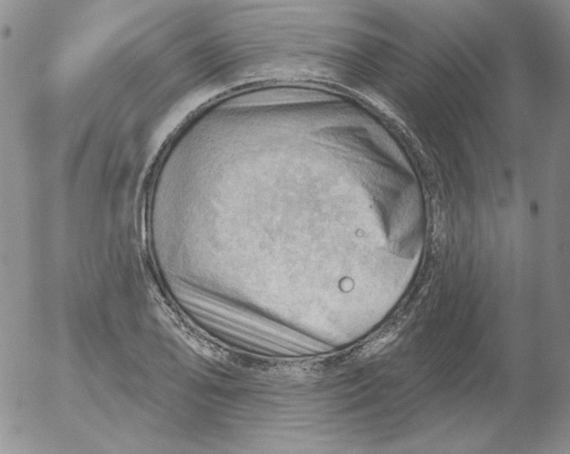 X0000053081078200508012000