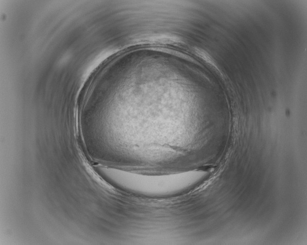 X0000053081079200508012000