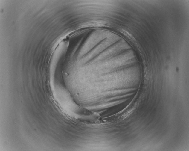 X0000053081081200508012000