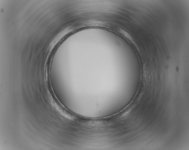 X0000053081082200508012000