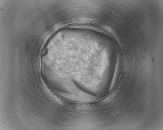 X0000053081083200508012000