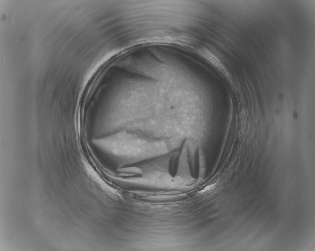 X0000053081084200508012000