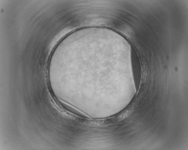 X0000053081086200508012000