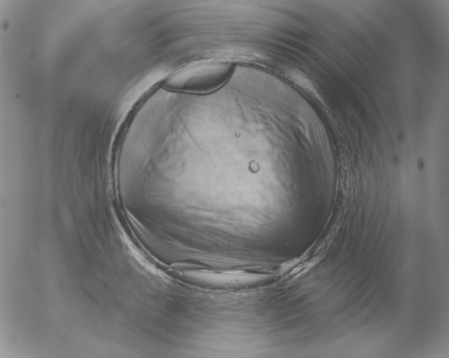 X0000053081087200508012000