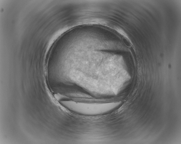 X0000053081088200508012000