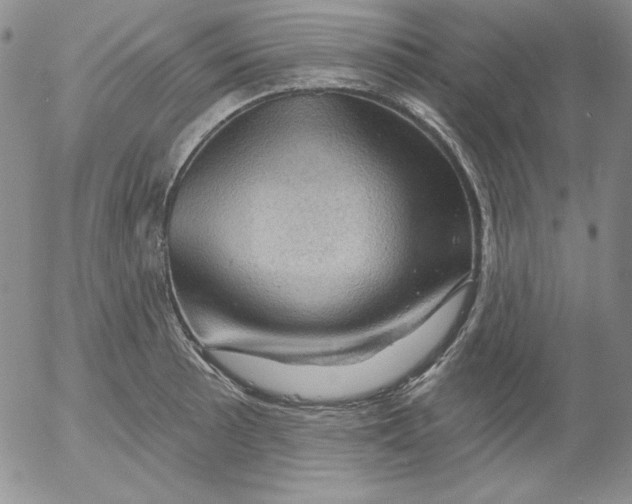 X0000053081089200508012000