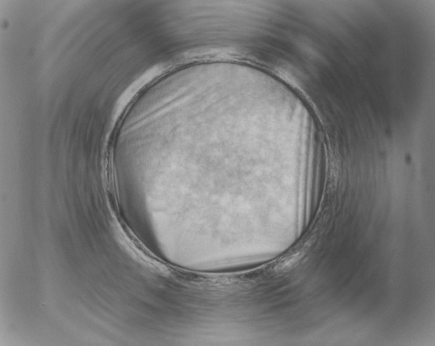 X0000053081090200508012000