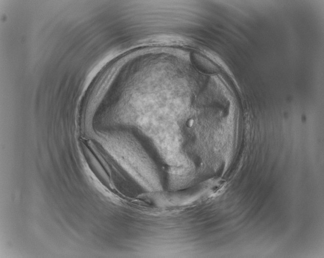 X0000053081091200508012000