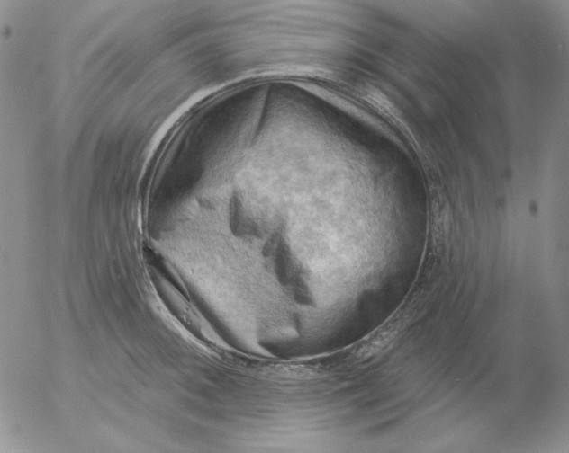 X0000053081092200508012000