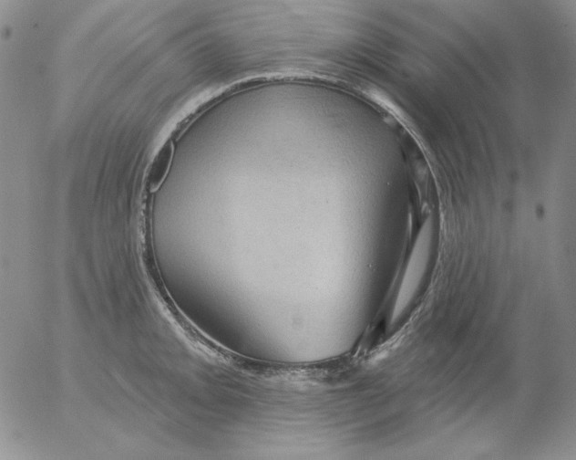 X0000053081093200508012000