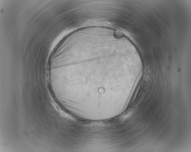 X0000053081094200508012000