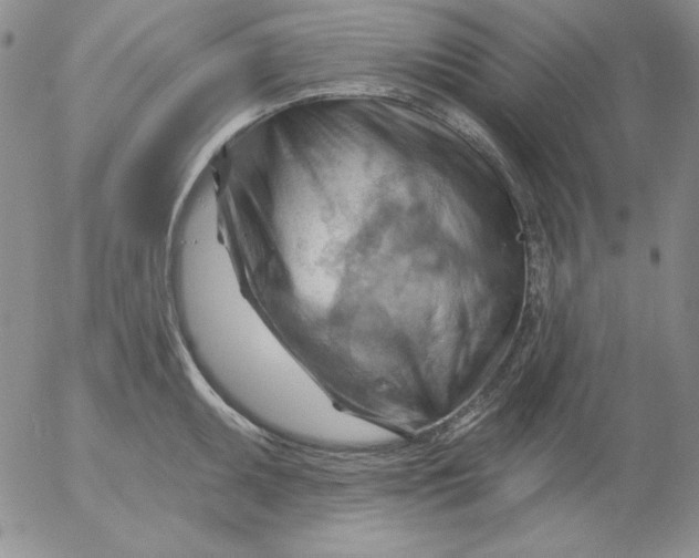 X0000053081095200508012000