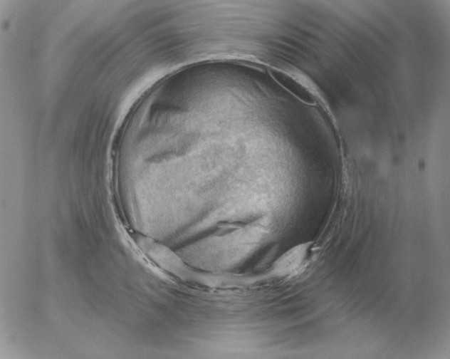 X0000053081096200508012000