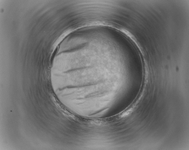 X0000053081097200508012000