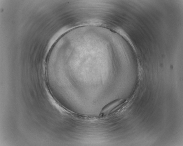 X0000053081099200508012000