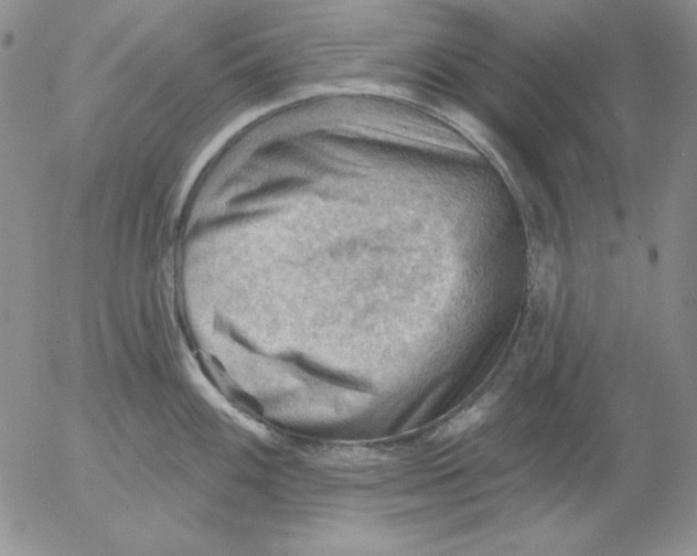 X0000053081100200508012000