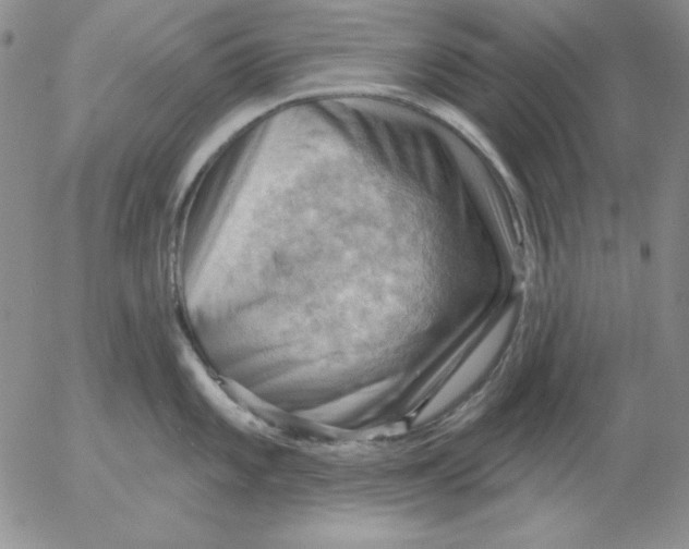 X0000053081101200508011959