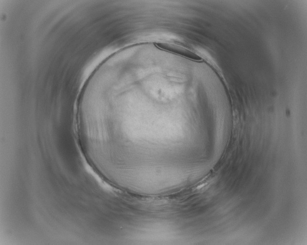 X0000053081103200508011959