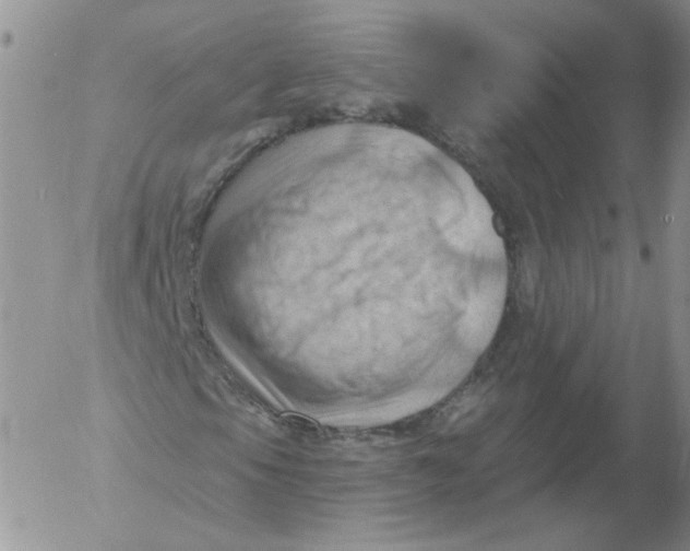 X0000053081105200508011959